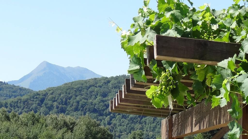 Gites Pyrenees Les Trois Montagnes Ganties Værelse billede